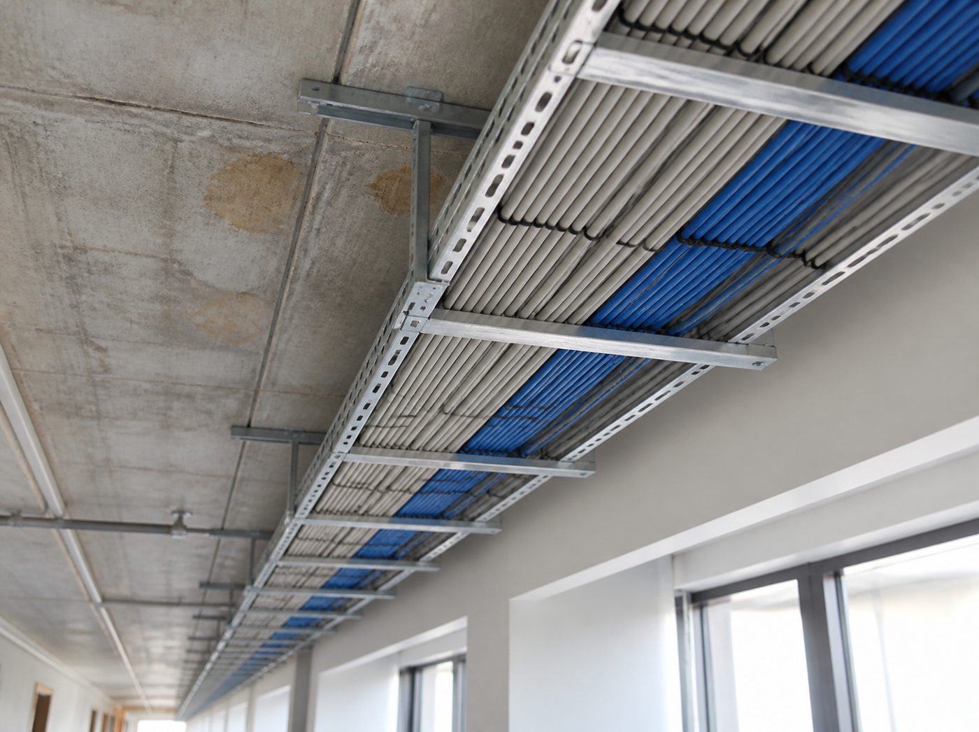 Sauber verlegte Kabeltrasse an der Decke